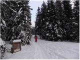 Planina Zajavornik - Debeli vrh nad Lipanco